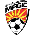 Escudo Broadmeadow Magic
