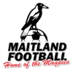 Escudo Maitland