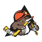 Escudo Shakhtyor Res.