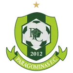 Escudo Paragominas