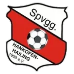 Escudo Hankofen-Hailing