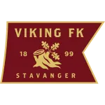 Escudo Viking II