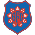 Escudo Bonsucesso