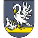 Escudo Slovan Brvnište