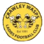 Escudo Crawley Wasps W