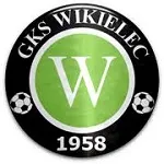 Escudo Wikielec