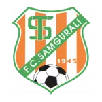 Escudo Samgurali II