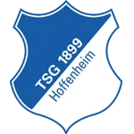 Escudo 1899 Hoffenheim