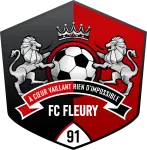 Escudo Fleury 91 W