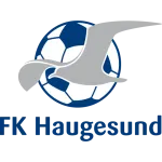 Escudo Haugesund II