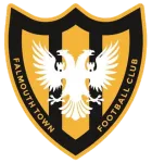 Escudo Falmouth Town