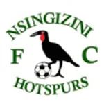 Escudo Nsingizini Hotspurs