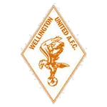 Escudo Wellington United