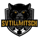 Escudo Tillmitsch