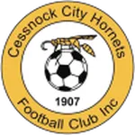 Escudo Cessnock City Hornets