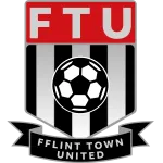 Escudo Flint City