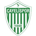Escudo Çayelispor