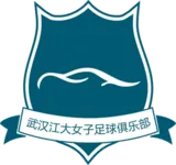 Wuhan Jiangda W