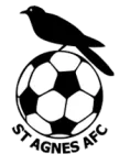 Escudo St Agnes