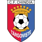 Escudo Chindia Targoviste