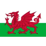 Escudo Wales U19 W