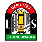 Escudo Lota Schwager
