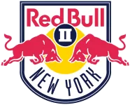 Escudo New York RB II