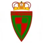 Escudo Houtvenne