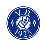 Escudo Vejgaard B