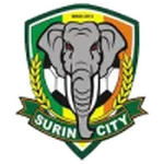 Escudo Surin