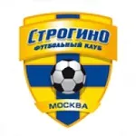Escudo Strogino
