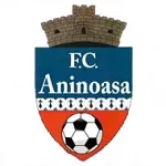 Escudo Pucioasa