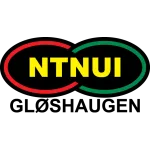Escudo NTNUI