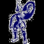Escudo Matlock Town