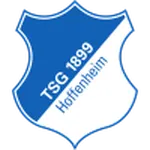 Escudo Hoffenheim U19