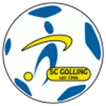 Escudo Golling