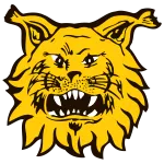 Escudo Ilves II