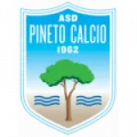 Escudo Pineto