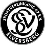 Escudo do Elversberg II