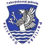 Partizán Domaniža