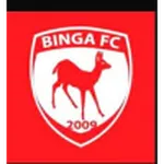 Escudo do Binga
