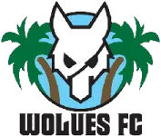 Wolues FC