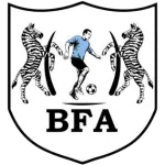 Black Lions