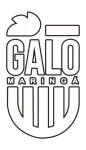 Galo Maringá U20