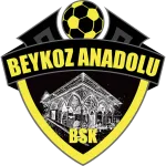 Beykoz Anadolu