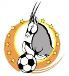 Escudo Premier League