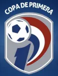 Escudo Division Profesional - Clausura