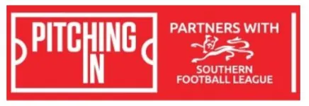Escudo Non League Div One - Southern South