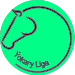 Escudo Ýokary Liga