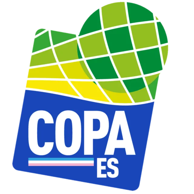 Escudo Copa Espírito Santo